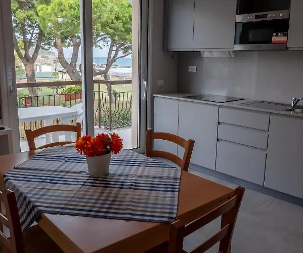 Eucaliptus * Marina dʼAndora