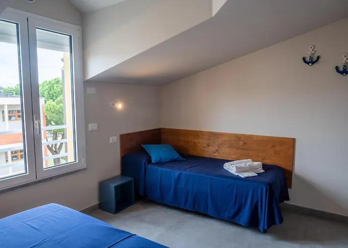 Eucaliptus * Marina dʼAndora